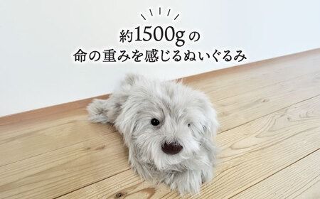 パトランミニ・グレージュ 糸島市 / 科学工房未来 パトラン ぬいぐるみ [AYI008] パトラン ぬいぐるみ 犬 いぬ ミニサイズ グレージュ ハンドメイド ペット