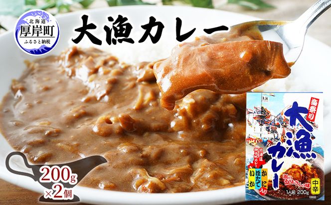 大漁カレー 200g×2個 カレー レトルト 加工食品 惣菜 レトルトカレー 洋食 海鮮カレー ランチ お昼ご飯 夕飯 夜食 手軽 簡単 ほたて いか かに 風味豊か 海の幸カレー 海の幸