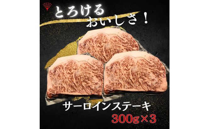 仙台名物！極上2種の牛肉ギフトセット（牛たん・仙台牛）　【肉 牛肉 タン 仙台 名物 グルメ 厚切り 焼肉 プレミアム バーベキュー ジューシー 柔らかい 熟成 食品 ギフト 風味豊か 旨味 冷凍保存 焼き方簡単 食べ比べ 高級 贅沢】 041009_FD007