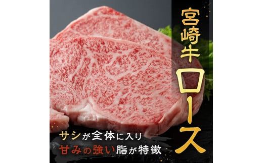 ※発送時期が選べる※宮崎牛 ステーキ 2種 600g 【 肉 牛肉 国産 宮崎県産 宮崎牛 黒毛和牛 和牛 ステーキ BBQ 4等級  A4ランク ロース モモ 】 [E11118]