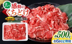 【6回定期便】国産 黒毛和牛 熟成肉 切り落とし 500g / 小分け 国産牛 お肉 牛肉 切落し 冷凍 焼肉 すき焼き / 南島原市 / ふるさと企画[SBA098]