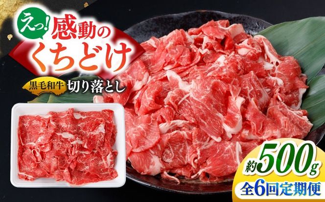 【6回定期便】国産 黒毛和牛 熟成肉 切り落とし 500g / 小分け 国産牛 お肉 牛肉 切落し 冷凍 焼肉 すき焼き / 南島原市 / ふるさと企画[SBA098]