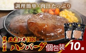 宮崎県産黒毛和牛100%ハンバーグ(10個/冷凍) K16_0160