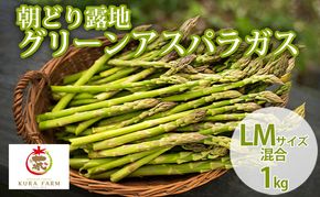 【2026年5月より発送】北海道 富良野市産 アスパラ 緑 (LMサイズ混合) 約1kg 朝どり 露地 グリーン アスパラガス 詰め合わせ 野菜 新鮮 数量限定 先着順【藏ファーム】
