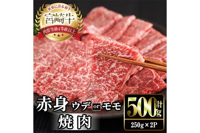宮崎牛 赤身カット 焼肉 (計500g・250g×2) 焼肉 お肉 牛肉 黒毛和牛 宮崎牛 ブランド和牛 冷凍 国産 モモ ウデ 宮崎県産 【YM-20】【YAMATO株式会社】