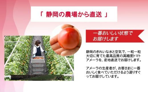 アメーラ＆ルビンズ5P