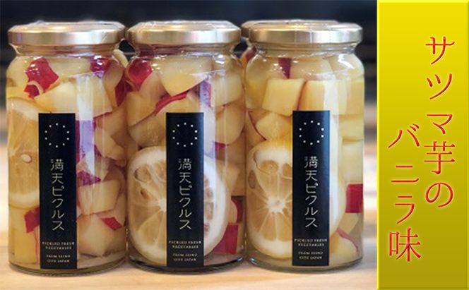 満天ピクルスおまかせ6本セット 漬物 缶詰 加工食品 
