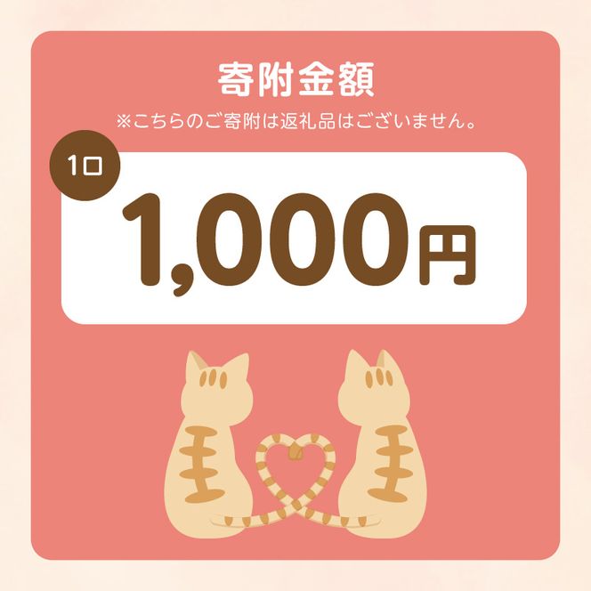 人と猫が互いに幸せになれるまちを目指して『不妊去勢手術支援プロジェクト』（返礼品はありません） N0159-9999997
