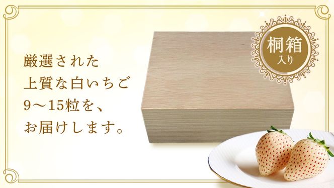 【桐箱入り】白いちご 9～15粒 【2027年1月から発送開始】（茨城県共通返礼品 [いちご]：城里町産） いちご イチゴ 苺 白いちご 白 希少 高級 国産 桐箱入り 贈答 贈り物 ギフト ふるさと納税