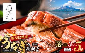 ＜選べる3or5尾＞鹿児島県産うなぎ蒲焼（1尾115g以上）　K379-001_SKU