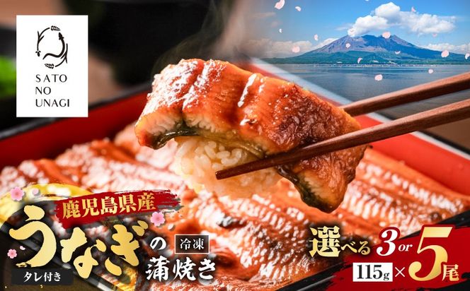 ＜選べる3or5尾＞鹿児島県産うなぎ蒲焼（1尾115g以上）　K379-001_SKU