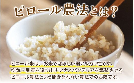 25年10月中旬以降順次発送　富山県滑川産 弱アルカリ性米「ピロール農法米 コシヒカリ」与文のお米（玄米5kg）産地直送 袋  おにぎり お米 白米 国産 ご飯 ごはん 富山県 滑川市 アグリめぐみ A-050001 アトピー 米