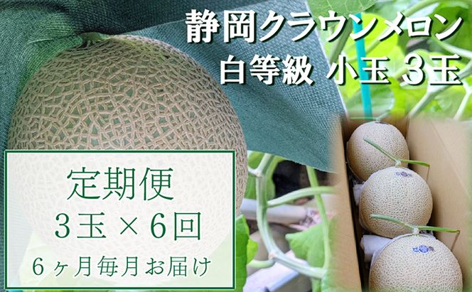 【6か月定期便】クラウンメロン【並(白等級)】小玉(1.1kg前後)3玉入り 果物 メロン青肉 フルーツ デザート 高級メロンブランド 高級メロン ブランドメロン