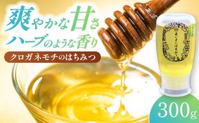 あいさいはちみつ クロガネモチ 300g 蜂蜜 国産 チューブ 愛西市 / あいさいはちみつ[AEBP001]