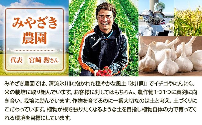 冷凍いちご 約1kg みやざき農園《30日以内に出荷予定(土日祝除く)》熊本県 氷川町 いちご イチゴ ひのしずく 国産 冷凍いちご フルーツ ストロベリー 冷凍 お菓子作り 送料無料---sh_fmiyayufarm_30d_25_10000_1kg---