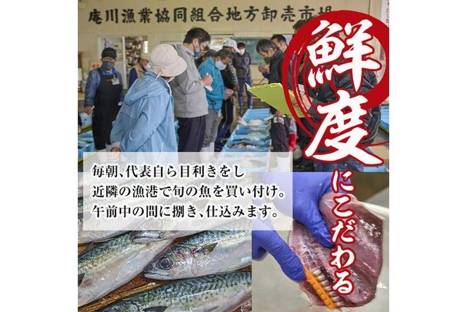朝獲れ鮮魚で作る！魚屋さんの自家製ソフト干物！(合計2kg以上・15~25枚・3~5種類入り)アジ イワシ カマス イカ タイ ブリカマ セット 詰め合わせ ひもの 焼き魚 おかず お惣菜【YS-3】【株式会社安田】