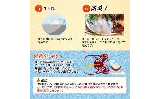 11月直送便 土佐獲れ 活伊勢海老 約700g（２尾～４尾） 天然 エビ　えび 伊勢エビ 海鮮 お刺身 刺し身 丸焼き しゃぶしゃぶ 故郷納税 ふるさとのうぜい 返礼品【株式会社とさもん】 [BQAE104]