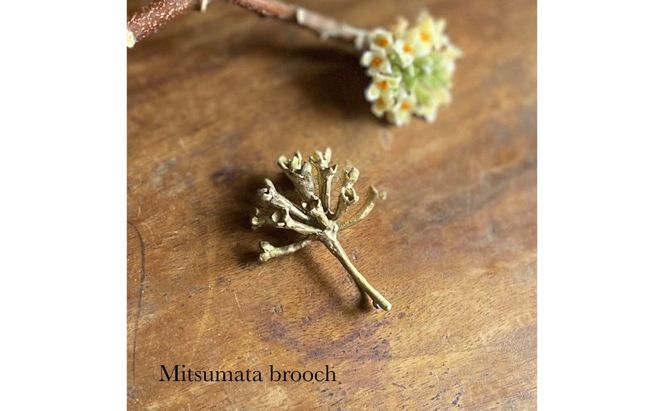 ブローチ ミツマタブローチ（brass）/　YUKIKOMATSUI ミツマタ 植物 真鍮 アンティーク ファッション 手作業 美濃市 岐阜県