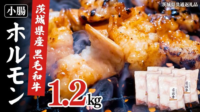 【茨城県産】 黒毛和牛 もつ鍋 焼肉用 小腸 1.2kg（200g×6パック） (茨城県共通返礼品) 国産 牛肉 肉 お肉 ホルモン もつ 焼肉