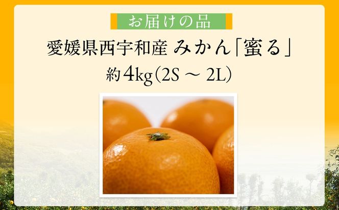 JAにしうわ みつる共選 「蜜る」4kg（2S～2L）※離島への配送不可（2026年11月中旬より順次発送予定） IKTBC004