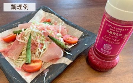 【全12回定期便】糸島 そだち の ビーツ ドレッシング （ 285ml × 1本 ）《糸島》【農香美人】 [AAG047] ドレッシング ボトル 栽培期間中 農薬不使用 野菜 ビーツ 糸島 定期便