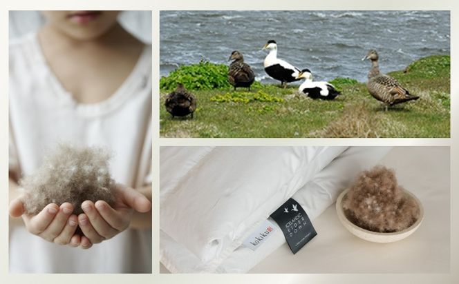 kokiku ダブル アイダー×GIZA 羽毛布団【掛け】アイスランドアイダー ダウン95％　JC069