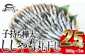 子持ち樺太ししゃも丸干し (計2.5kg・500g×5袋) 干物 ししゃも シシャモ 丸干し 魚 海鮮 冷凍 大分県 佐伯市【AP83】【(株)ヤマジン】