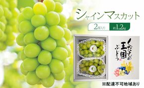 ぶどう 2026年 先行予約 シャインマスカット 2房入り 約1.2kg 岡山県 赤磐市 ブドウ 葡萄 果物 フルーツ