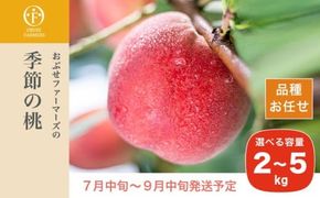 季節の桃 約2kg 約3kg 約5kg 選べる内容量 ［ おぶせファーマーズ ］桃 もも モモ ピーチ フルーツ 果物 たまき なつき あかつき 川中島白鳳 なつっこ 川中島白桃 黄金桃 だて白桃 先行予約 長野県産 信州産 クール便 冷蔵便 お取り寄せ 産地直送 数量限定 産地 直送 先行予約 2025 令和7年産【2025年7月中旬～9月中旬発送】