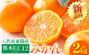 八代市 東陽産 EC12みかん 2kg以上入り(8玉～20玉)  柑橘 ミカン くだもの 果物 フルーツ デザート