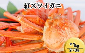 紅ズワイガニ約1kg（2～3尾） ※2025年9月中旬～2026年3月下旬頃に順次発送予定
