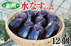 010B1061 泉州 水なす 12個【ハウス栽培 新鮮 野菜 泉佐野産 茄子 数量限定】 