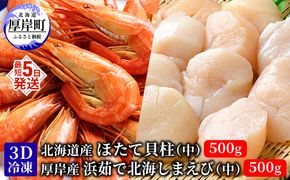 厚岸漁協イチオシ！【3D冷凍】ほたて・しまえびセット えび エビ 海老 ほたて ホタテ 帆立 玉冷 魚介類 魚介 