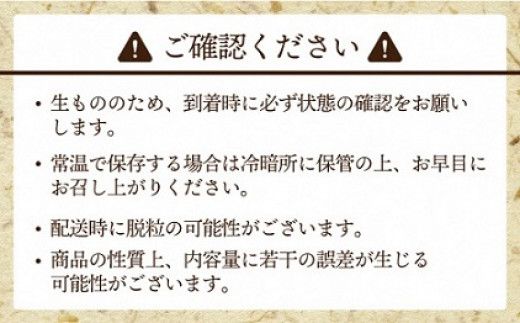 【先行予約】JAむなかた厳選【むなかた産シャインマスカット】2房(1kg以上)【JAほたるの里】_AS0914-00