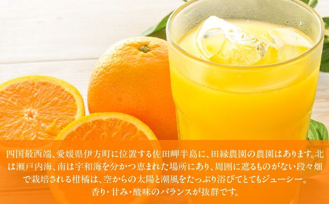 【3ヶ月定期便】田縁農園 3種みかんジュース（みかん いよかん 河内晩柑）セット 全3回 IKTA049