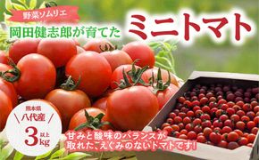 野菜ソムリエ岡田健志郎が育てた ミニトマト 3kg以上 トマト 野菜 熊本県産 新鮮 サラダ やさい とまと 八代市産 九州