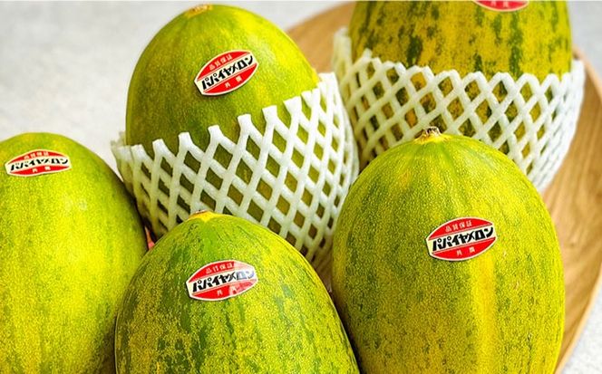 【2026年4月～発送】【サクサク生地】南島原産パパイヤメロンのタルト / タルト メロン めろん 18cm / 南島原市 / アトリエジジ[SAA026]