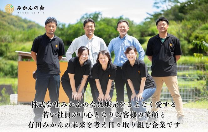 【2026年7月上旬～出荷予定】梅 冷凍 青梅 南高梅 10kg ( 1kg × 10袋) 秀品 2L or Lサイズ 和歌山県産 紀州有田 【みかんの会】AX405