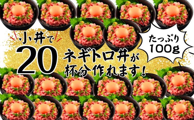 まぐろたたき ネギトロ(100g×10P)【魚住商店】_HA1975 まぐろ ねぎとろ 丼 おつまみ 国産 おかず 福岡県宗像市 宗像市 福岡 宗像