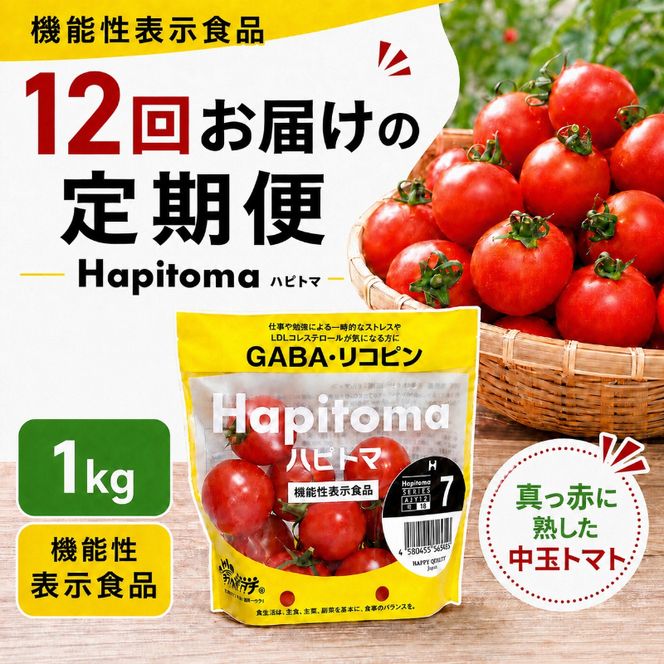 【12ヶ月定期便】機能性表示食品 Hapitoma ハピトマ 糖度7（1kg）【配送不可：北海道・沖縄・離島】健康 ヘルシー GABA リコピン 人気 厳選 袋井市 野菜 トマト ミニトマト とまと 12回 1年 