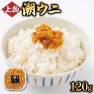 上物 潮ウニ 120g 冷凍 ミョウバン不使用 雲丹 寿司 汐うに 塩うに 海鮮 魚貝類 魚介類 キタムラサキウニ 小分け 塩水 天然 刺身 ウニ丼 ご飯 白米 おつまみ 三陸産 岩手県 大船渡市 [kakehata008]