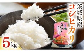 茨城県産 コシヒカリ 5kg ( 5kg × 1袋 ) 令和7年産 米 お米 コメ 白米 こしひかり 茨城県 新生活 応援 [EG001ci]