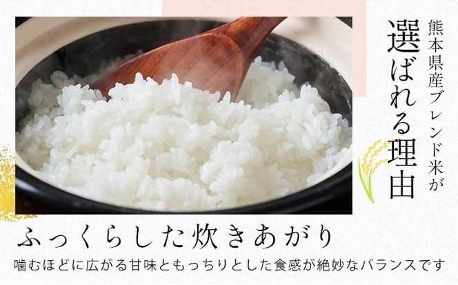 ひごみのり 無洗米 も選べる 熊本県産 ブレンド米 5kg 10kg 20kg  熊本県産 ふるさと納税 無洗米 白米 精米 米 こめ ふるさとのうぜい コメ お米 おこめ《2-7営業日以内に出荷予定(土日祝除く)》---hkw_26_lcl_502_5kg---