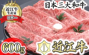 【４等級以上の未経産牝牛限定】近江牛カタ・バラすき焼き【 600g】【AF07W】