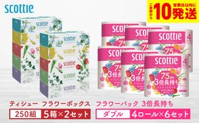【スコッティ】ティシュー フラワーボックス 250組（5箱パック×2セット）＋フラワーパック 3倍長持ち（4ロール(ダブル)パック×6セット）ティッシュ トイレットペーパー 日用品