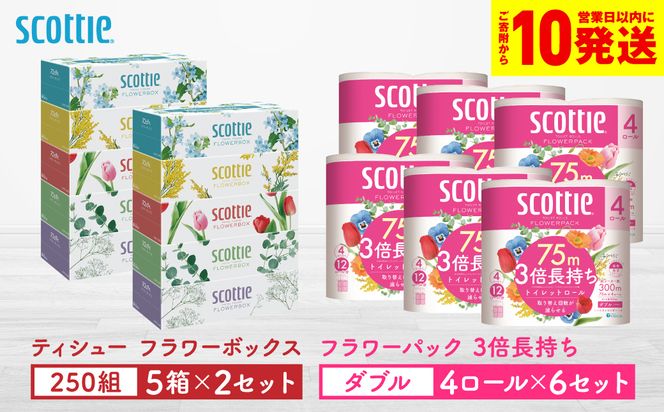 �y�F�{������s�z�y�X�R�b�e�B�z�e�B�V���[ �t�����[�{�b�N�X 250�g�i5���p�b�N×2�Z�b�g�j�{�t�����[�p�b�N 3�{�������i4���[��(�_�u��)�p�b�N×6�Z�b�g�j�e�B�b�V�� �g�C���b�g�y�[�p�[ ���p�i