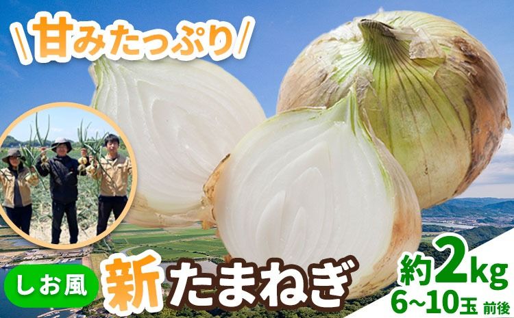 新玉ねぎ[2025年先行予約] しお風新たまねぎ 約2kg [5月中旬-5月末頃出荷] 玉ねぎ 新たまねぎ 玉葱 たまねぎ 新玉 野菜 青果物 岡山県 笠岡市---223_1050_5c5m_24_3500_2kg---