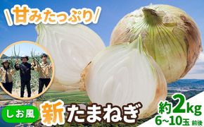 新玉ねぎ【先行予約】 しお風新たまねぎ 約2kg 《5月中旬-6月上旬頃出荷》 玉ねぎ 新たまねぎ 玉葱 たまねぎ 新玉 野菜 青果物 岡山県 笠岡市---kasaoka_zsy_138_2---