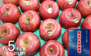 いわて花巻産 賢治の本熟 りんご（サンふじ）5kg 【801】