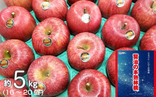 いわて花巻産 賢治の本熟 りんご（サンふじ）5kg 【801】
